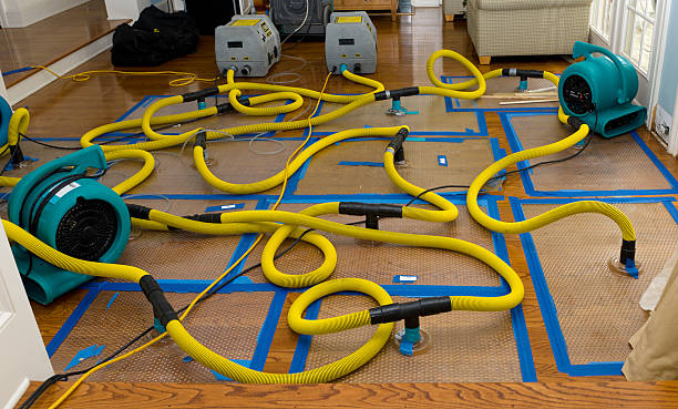 Professional Basement Flood Cleanup technician working in Stetson, ME